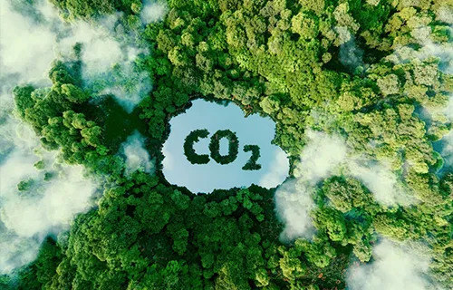 Actions RSE environnement et sécurité Actions RSE de SGC Fermetures pour la sécurité et la réduction de l’empreinte carbone